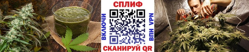 что такое   Ковылкино  Печенье с ТГК марихуана 