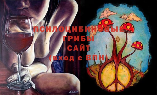 шишки Зуевка