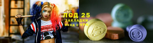 ПСИЛОЦИБИНОВЫЕ ГРИБЫ Армянск